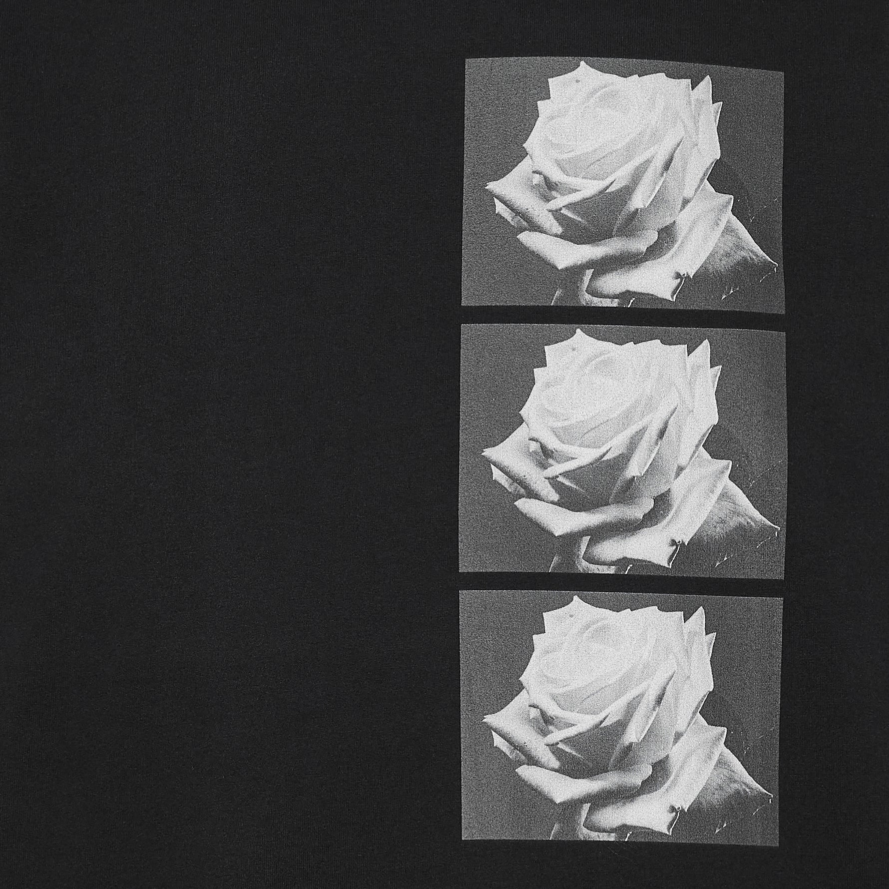 Yasuhiro Ishimoto ROSE PRINT TEE BLACK