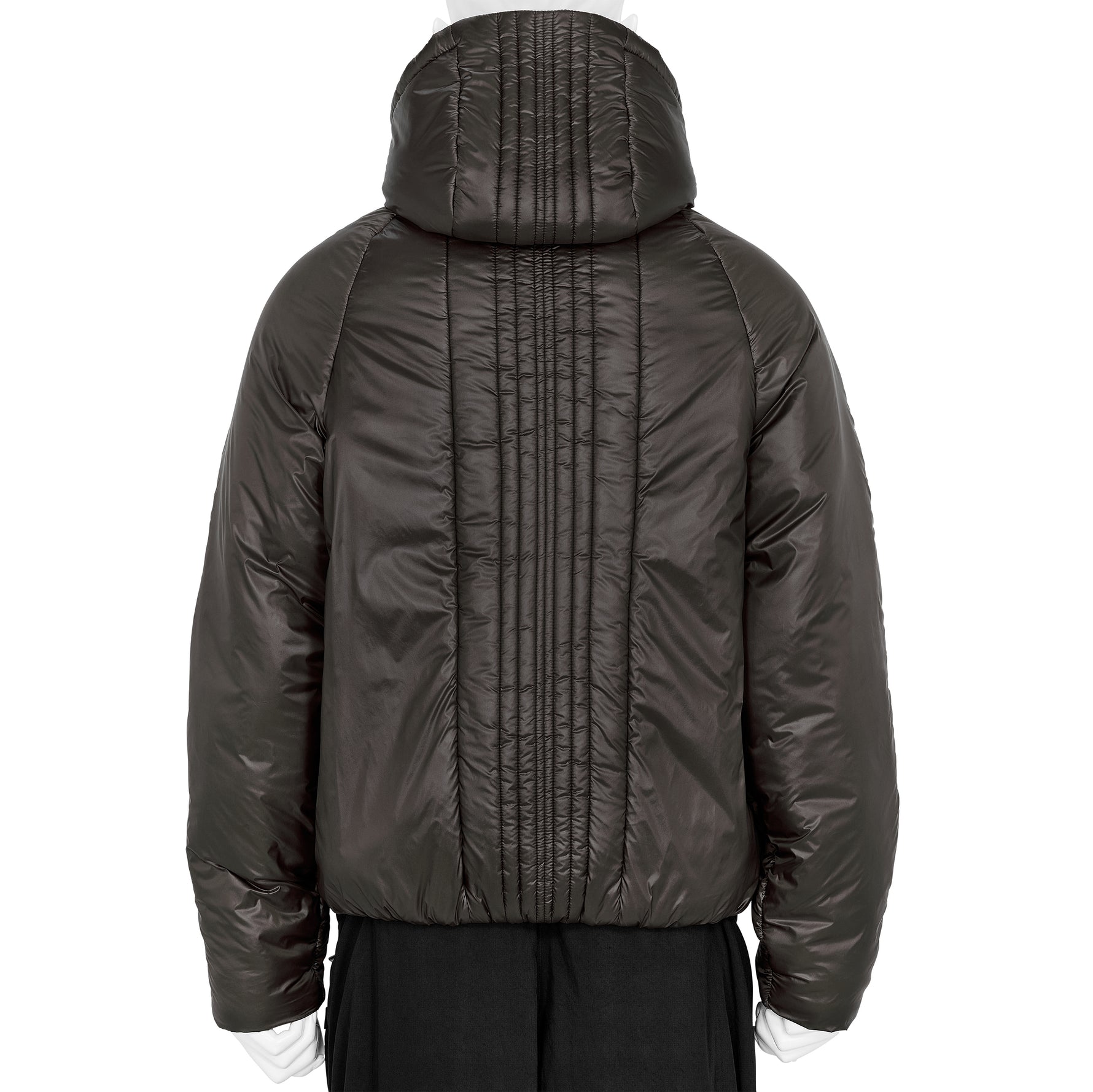 SINH JACKET SERAPHIM