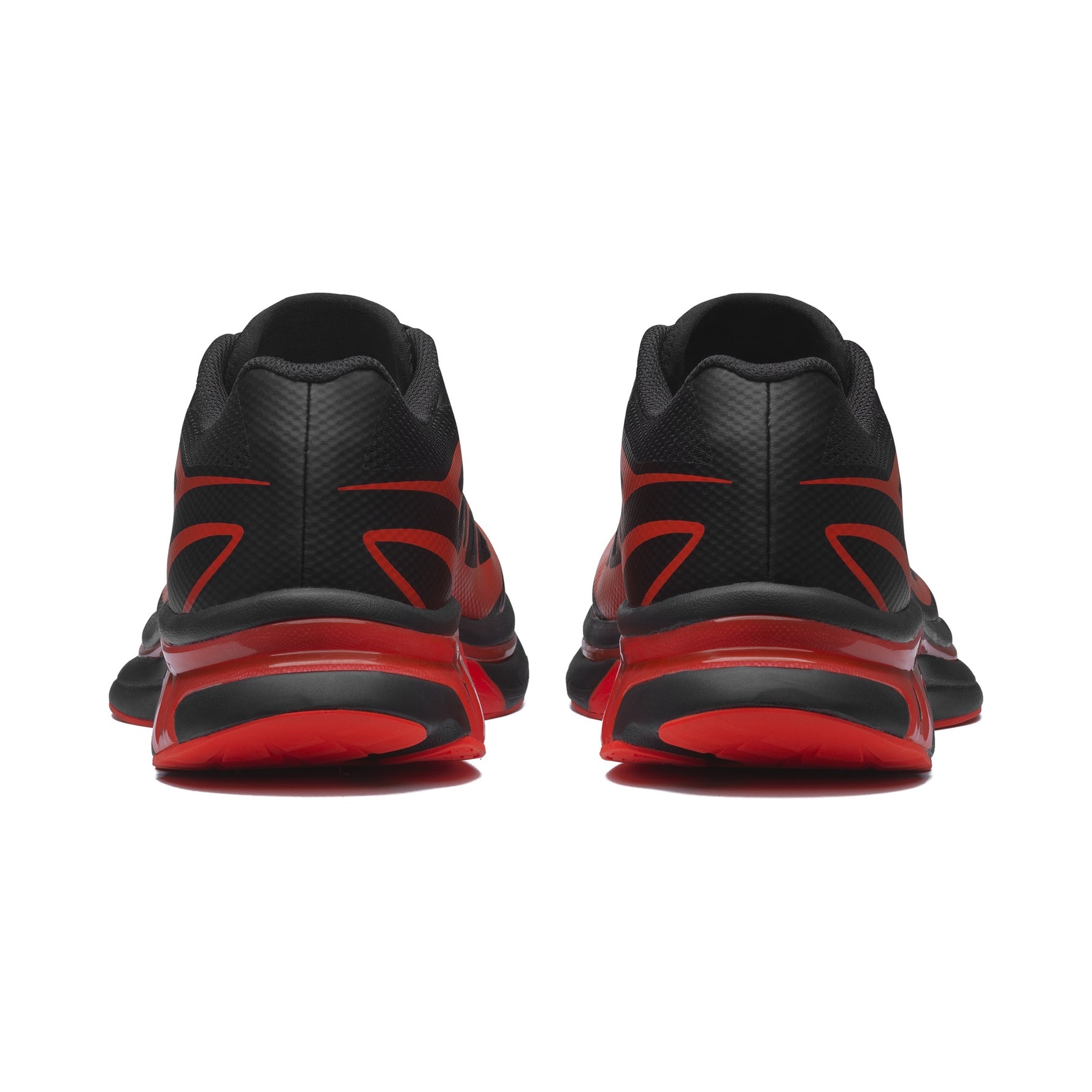 XT-MM6 BLACK CHERRY TOMATO WHITE