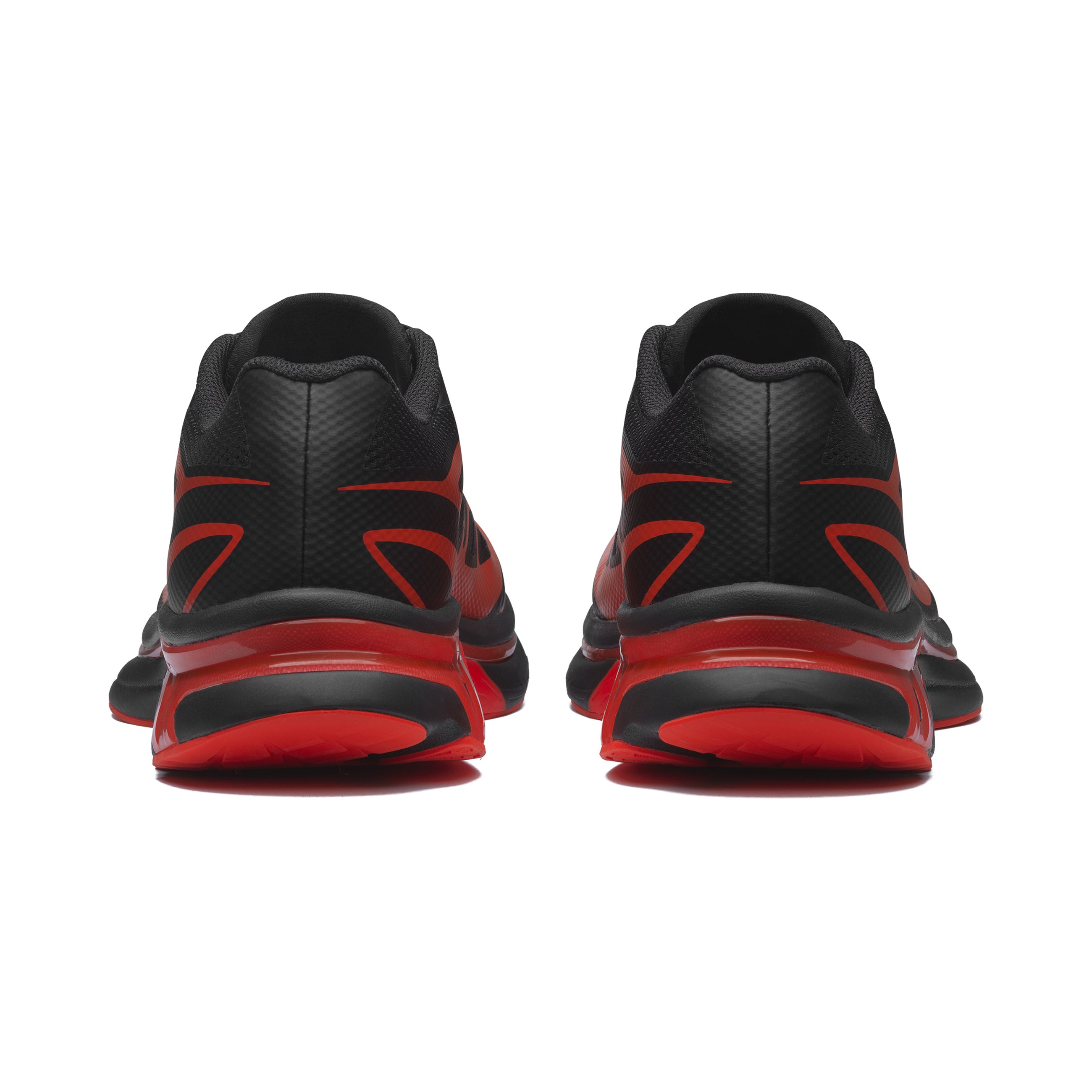 XT-MM6 BLACK CHERRY TOMATO WHITE