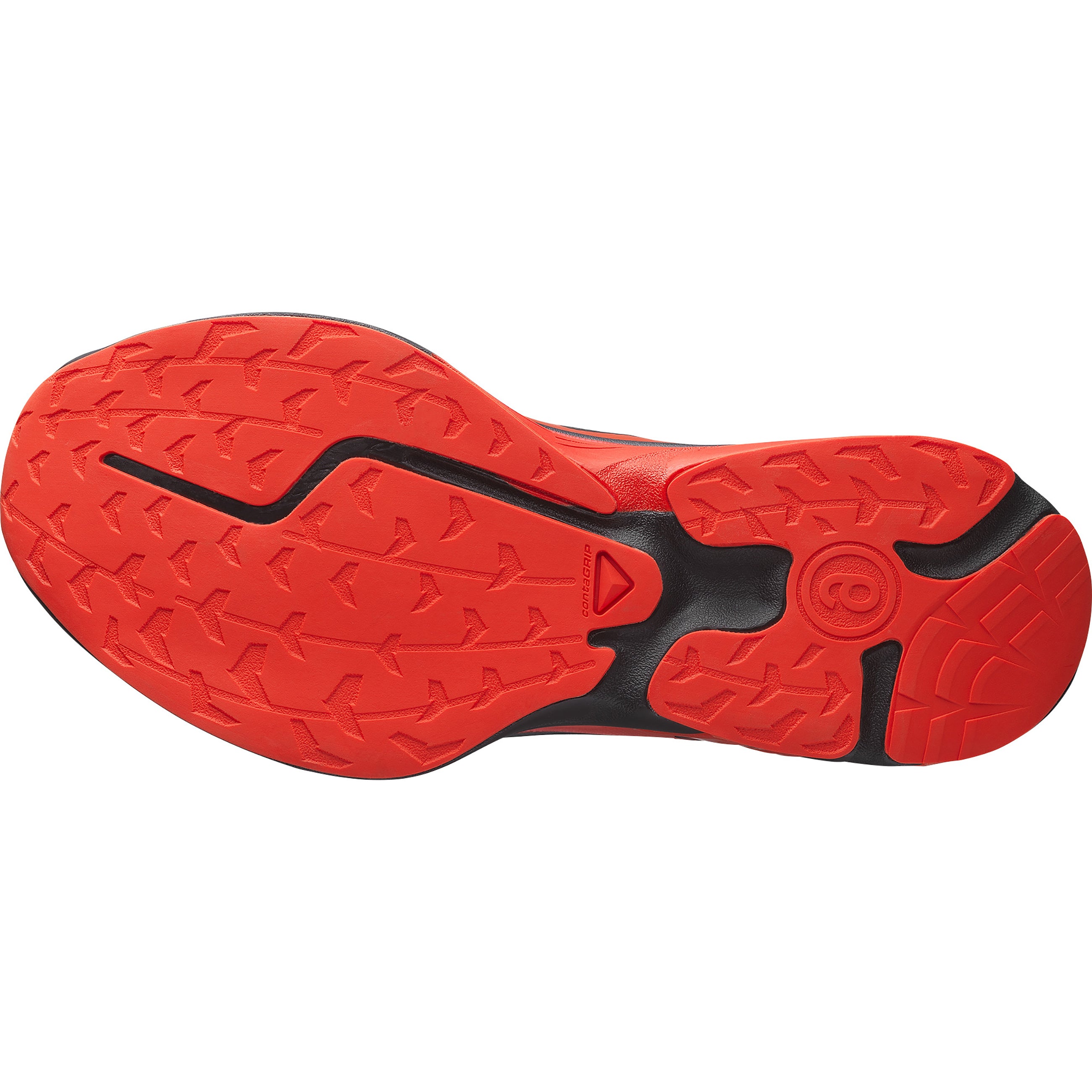 XT-MM6 BLACK CHERRY TOMATO WHITE