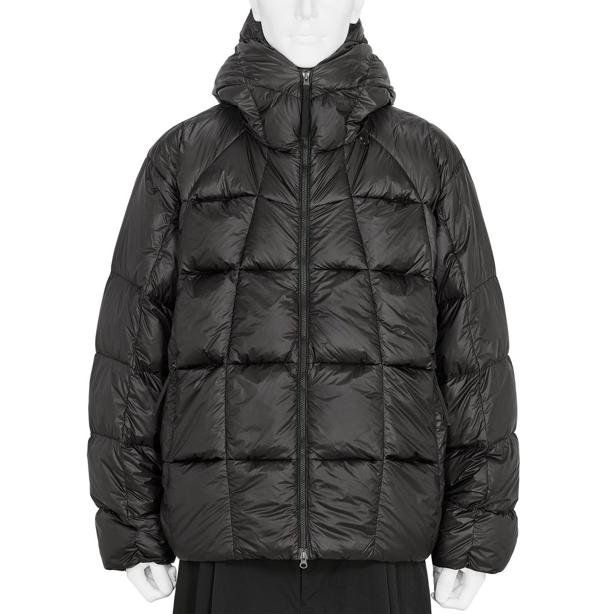 THREE DIMENSIONAL DOWN PARKA AFTER DARK